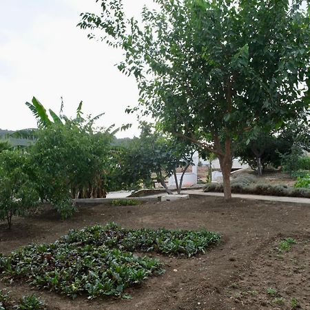 Jnane Yemma Otel Tanca Dış mekan fotoğraf