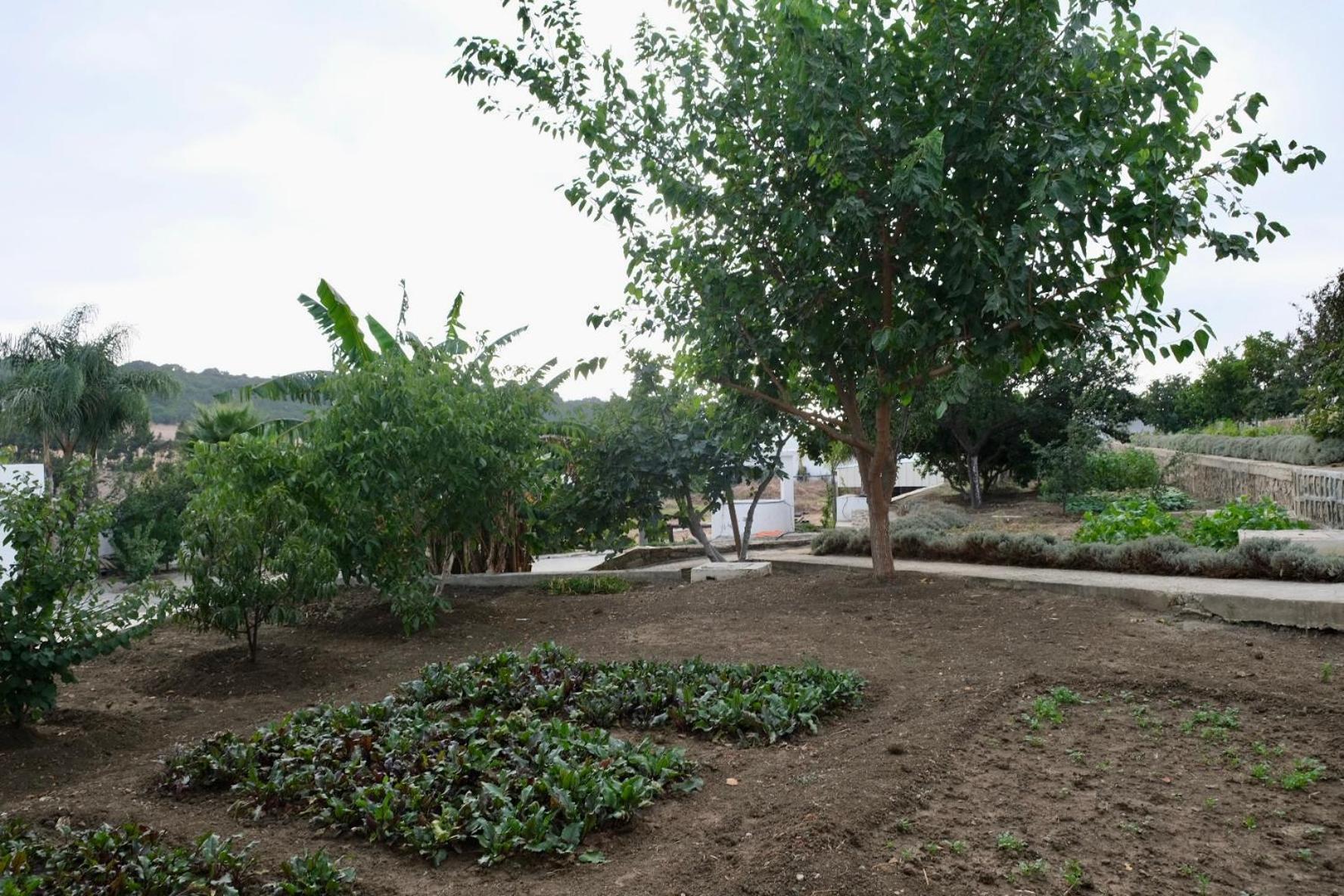 Jnane Yemma Otel Tanca Dış mekan fotoğraf